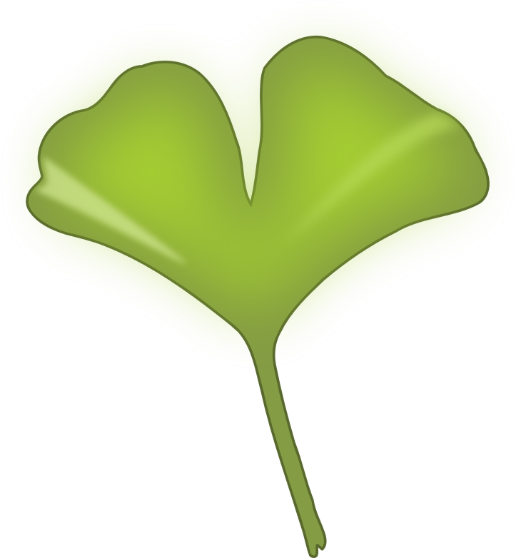 clip art ginkgo leaf - photo #6