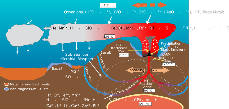 Clipart - Deep Sea Vent Chemistry Diagram