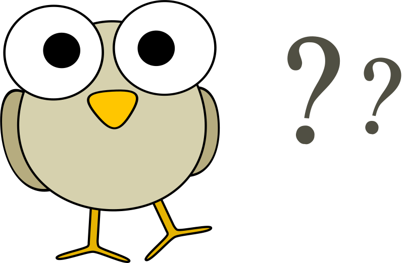 Grey bird with question marks by anarres - A funny grey cartoon bird with big googley eyes and some question marks.