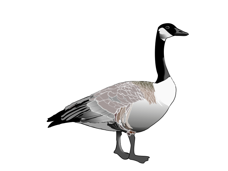 goose clipart free - photo #28