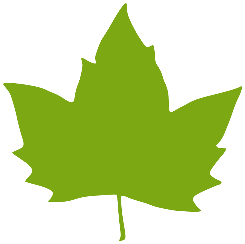 Clipart - Leaf