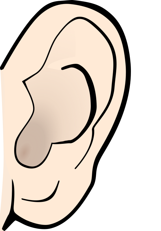 Clipart - ear colored