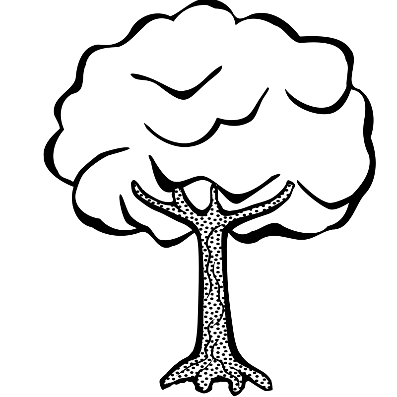 clip art line drawing of a tree - photo #3