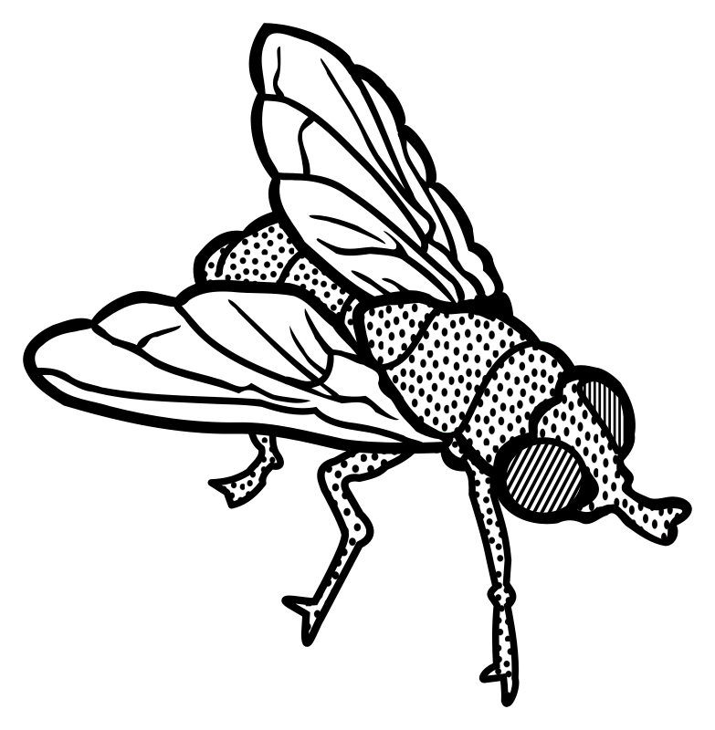 clip art black fly - photo #24