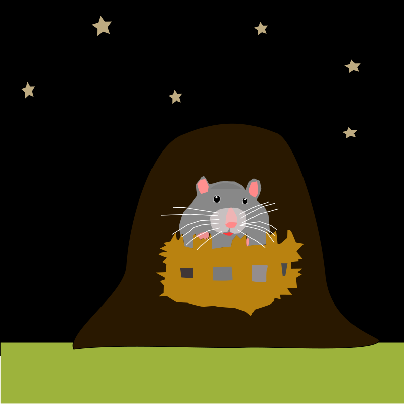 https://openclipart.org/image/800px/svg_to_png/214486/mouse-01.png