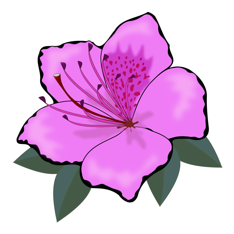 wmf flower clipart - photo #4