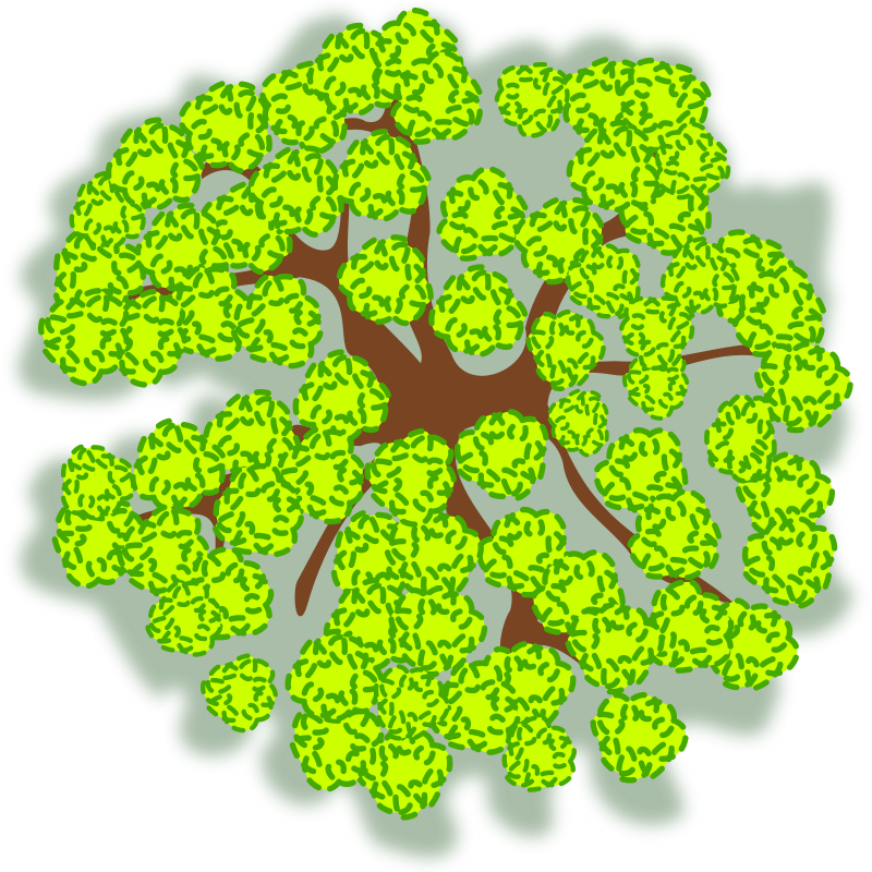 tree clipart top view - photo #36