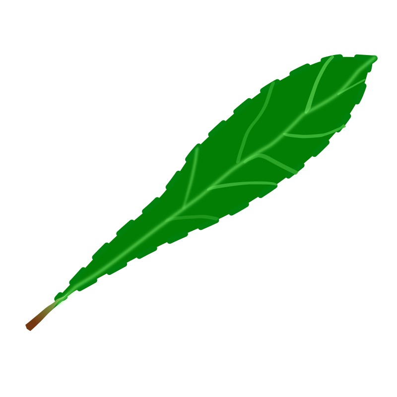 clipart of green leaf - photo #43