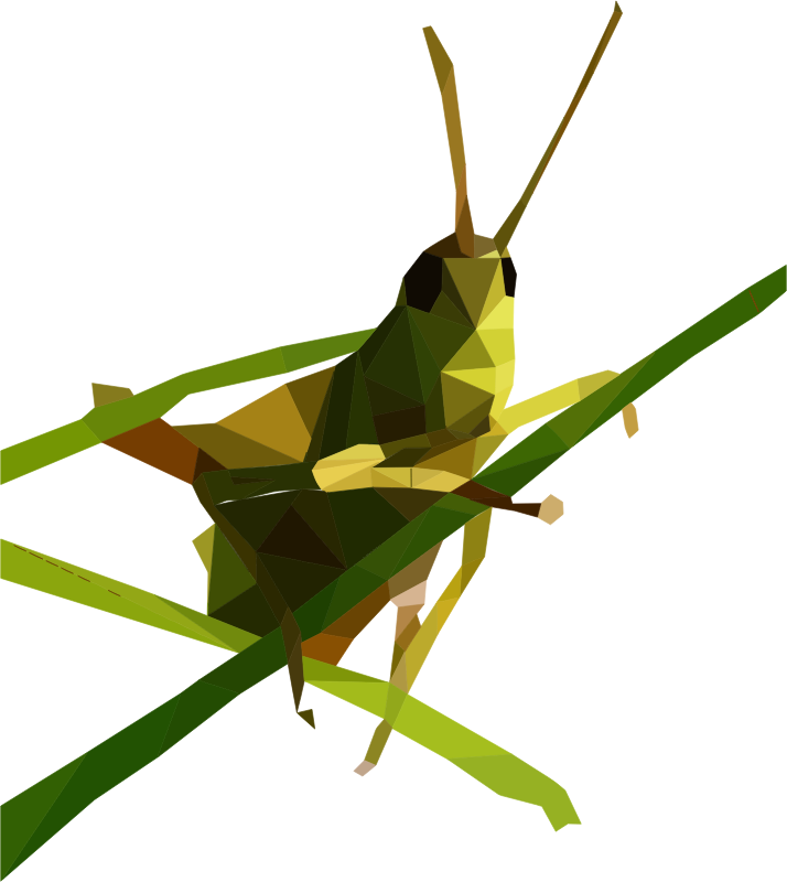 green grasshopper clipart - photo #32