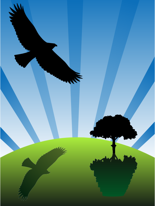 free clipart of eagles soaring - photo #37