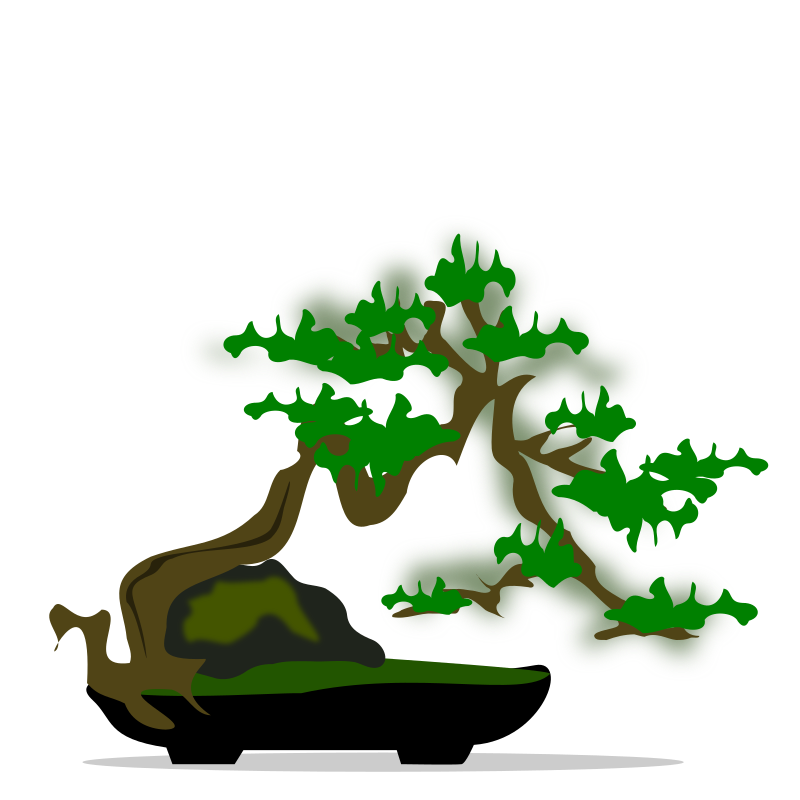 bonsai tree clipart - photo #41