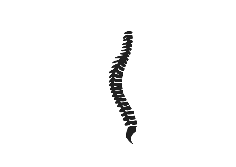 clipart spine logo - photo #9