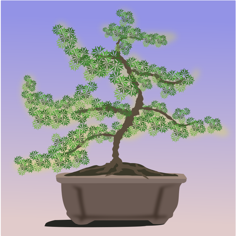 bonsai tree clipart - photo #33