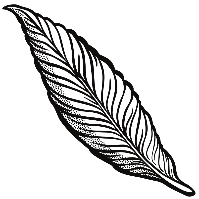 Line Art Feather : Clipart feather lineart