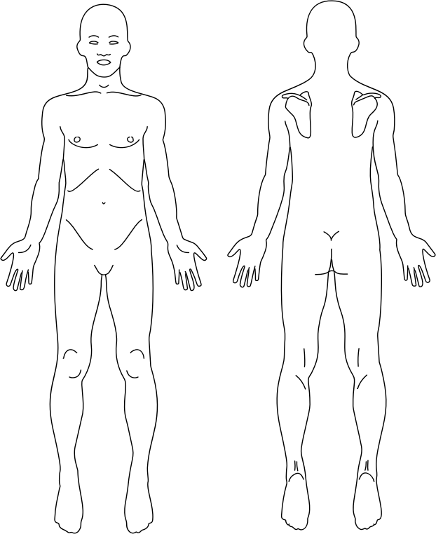 pictures of female human body outline front and back kidskunst info human body outline front and back