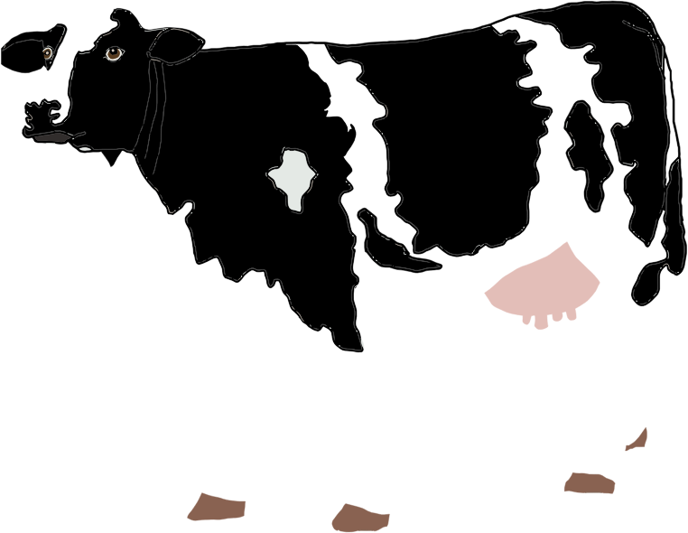 cow illustrations clipart - photo #26