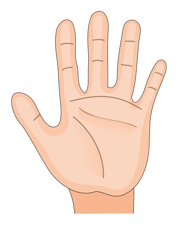 Clipart Human Hand Palm Inside