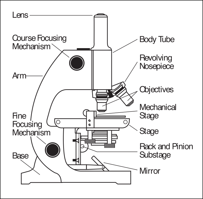 Clipart Microscope Parts Labeled