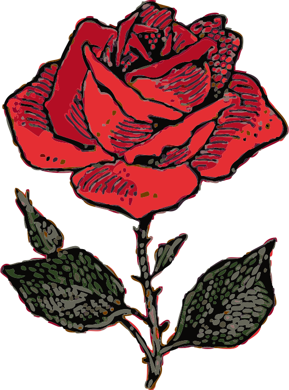 clipart noeud rose - photo #31