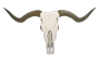 Clipart - Bull horns