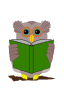 The owl is reading a book Thumbnail