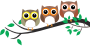 Three Owls in a tree Thumbnail